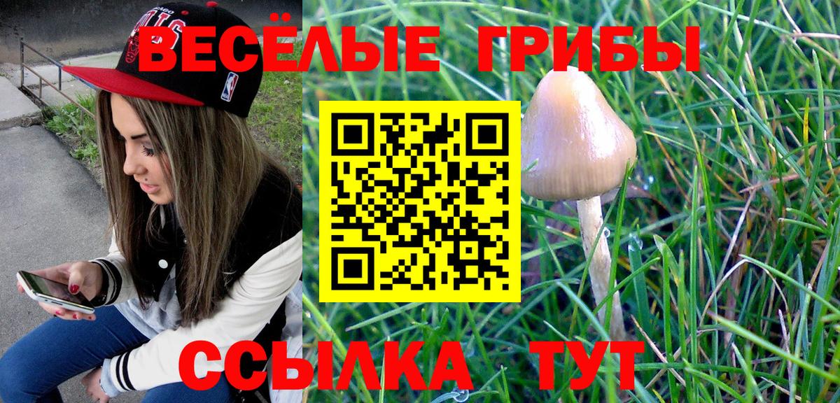 Галлюциногенные грибы MAGIC MUSHROOMS  Псилоцибиновые грибы Magic Shrooms  Медногорск  Вход с VPN 