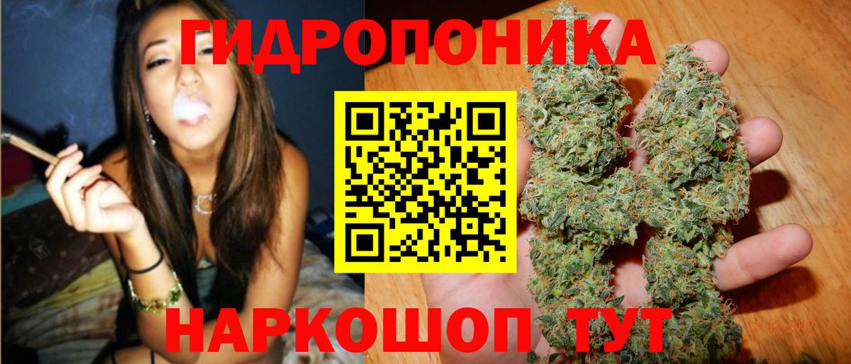 Канабис план Медногорск